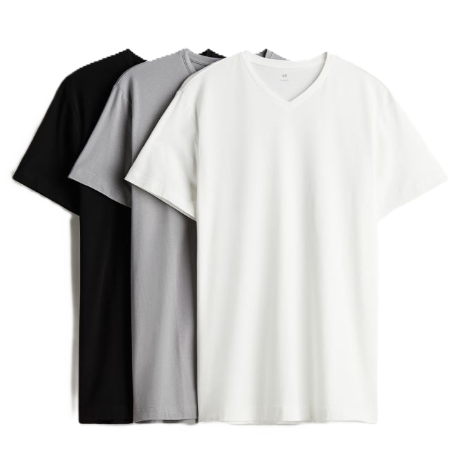 Slim Fit V-Neck T-Shirt